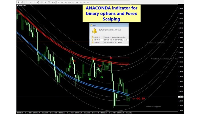 ANACONDA Binary Options And Forex 