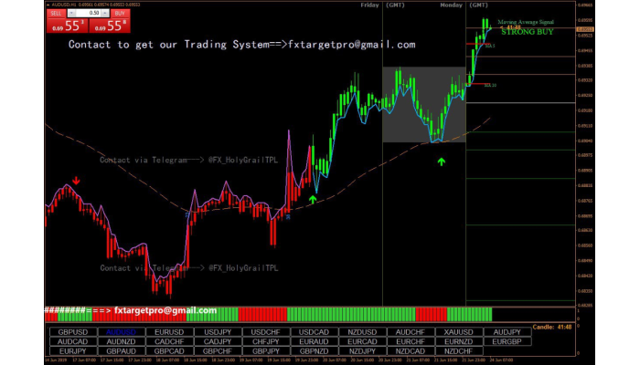 FX Target System (145. FX_HOLYGRAIL MANUAL SYSTEM​) 