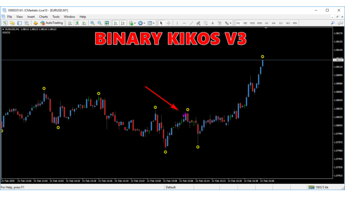 Binary Kikos v3 