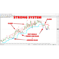 STRONG SYSTEM (No Repaint)