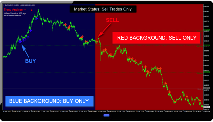 POLYGON FOREX SCALPER 