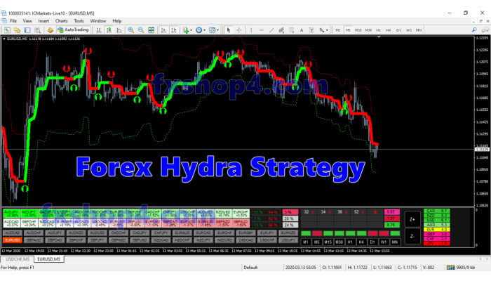 Forex Hydra Strategy 