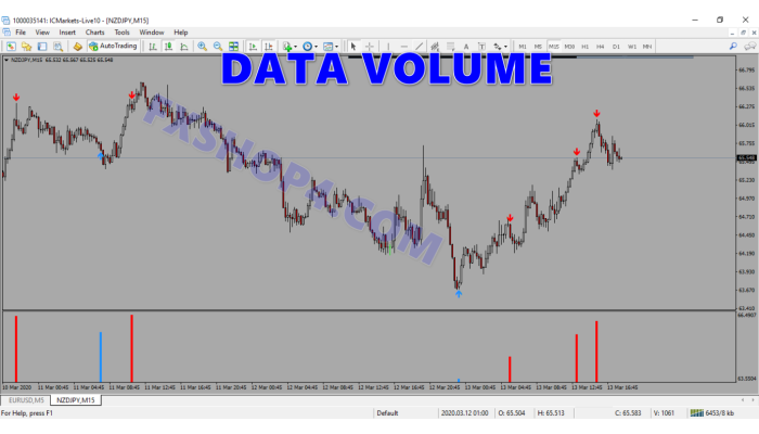 DATA VOLUME Indicator 