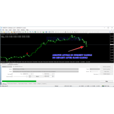 KILL MARKET 2019 
