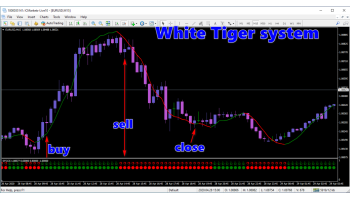  WHITE TIGER SYSTEM