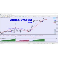 ZOREX SYSTEM New 