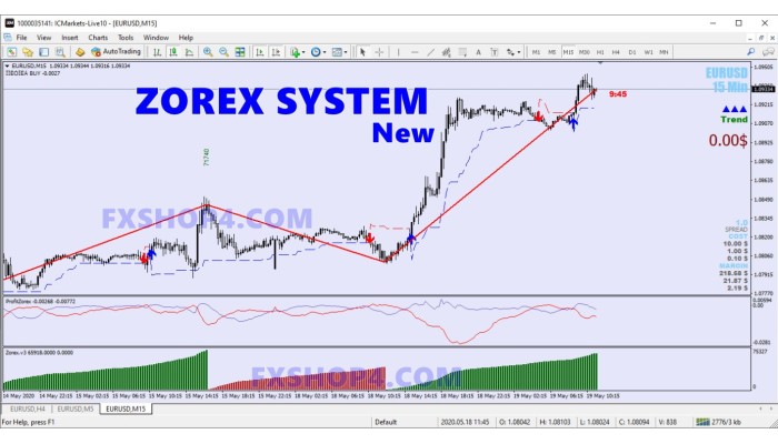 ZOREX SYSTEM New 