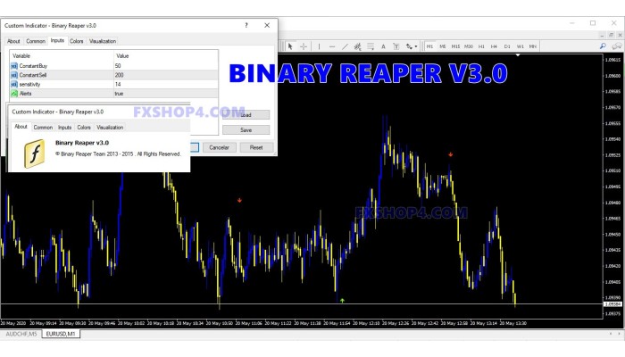 BINARY REAPER V3.0 