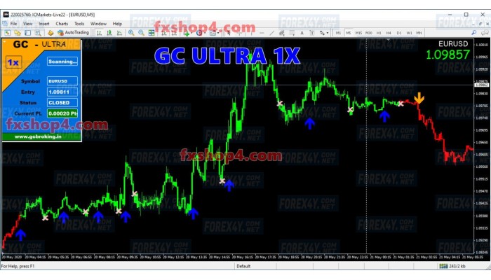 GC ULTRA 1X (No Repaint)