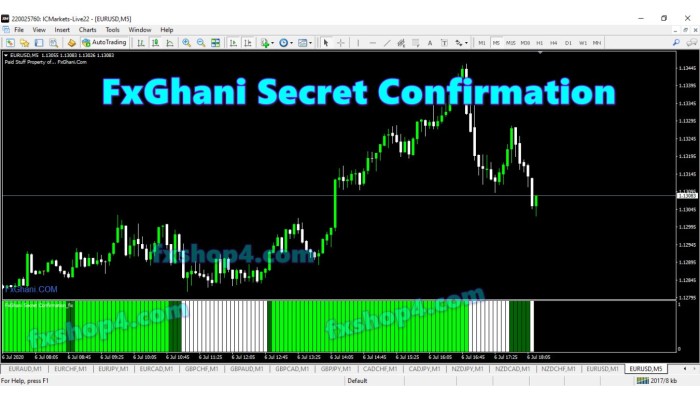 FXGHANI SECRET CONFIRMATION