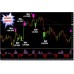 Elastic Trader Pro 