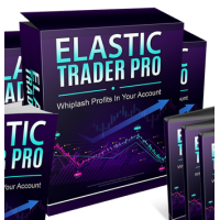 Elastic Trader Pro 