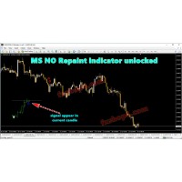 MS No Repaint Indicator Unlocked 