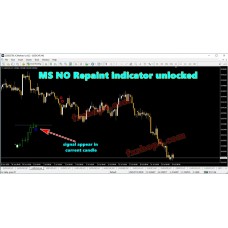 MS NO REPAINT INDICATOR