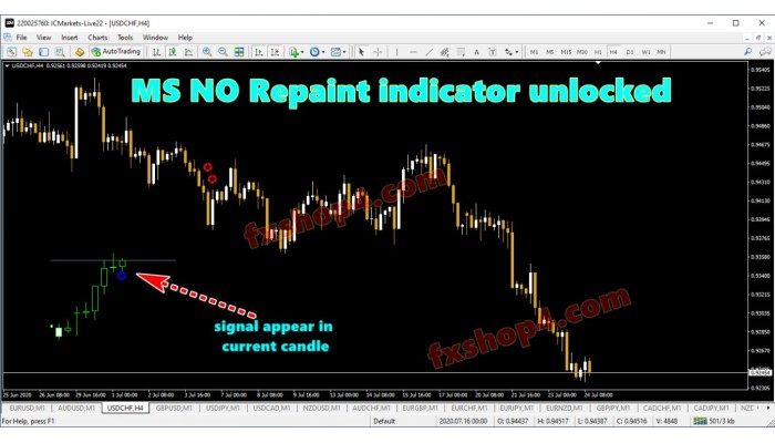 MS NO REPAINT INDICATOR