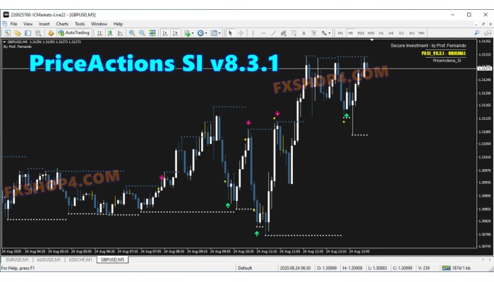 PriceActions SI V8.3.1 