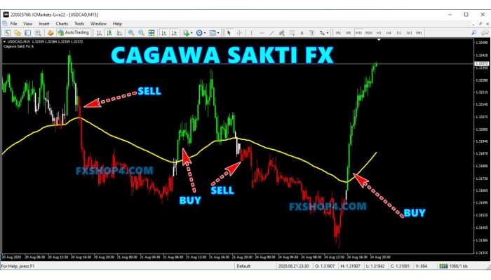 Cagawa Sakti Fx 