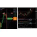 CREMAX INDICATOR 2020 