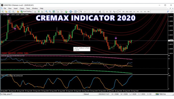 CREMAX INDICATOR 2020 