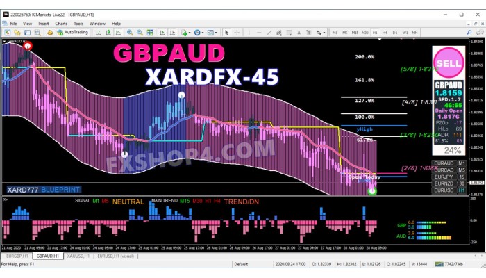 XARDFX-45 