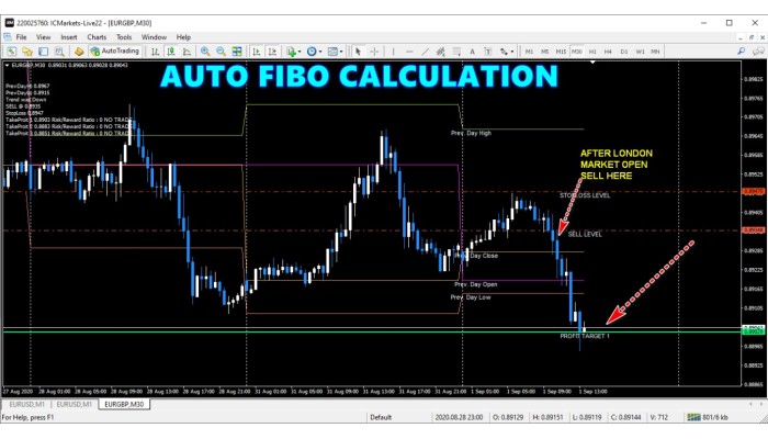 AUTO FIBO CALCULATION 