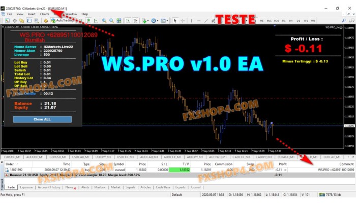  WS.PRO v1.0