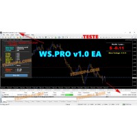  WS.PRO v1.0