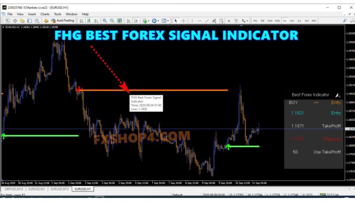 FHG BEST FOREX SIGNAL INDICATOR 