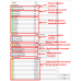 PTS ALERTER MACD CROSSOVER V1.1 