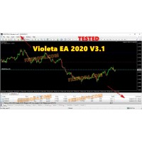 Violeta EA 2020 V3.1 