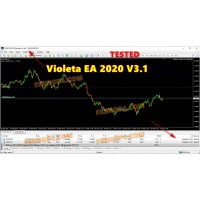 VIOLETA EA 2020 V3.1 