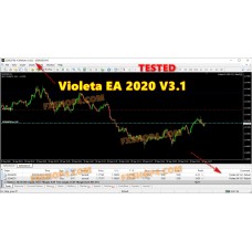 VIOLETA EA 2020 V3.1 