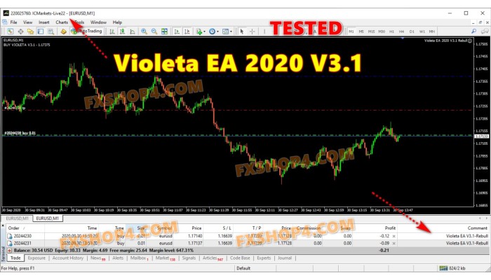 VIOLETA EA 2020 V3.1 
