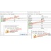 BUTTERFLY FOREX 