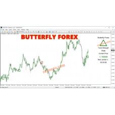 BUTTERFLY FOREX 
