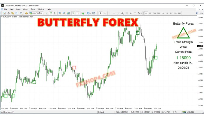 BUTTERFLY FOREX 