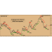 SCALPING GOD INDICATOR 100% NON-REPAINT 