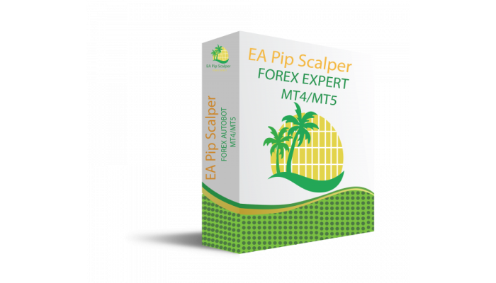 EA PIP SCALPER v1 