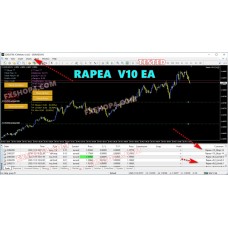 RAPEA v10