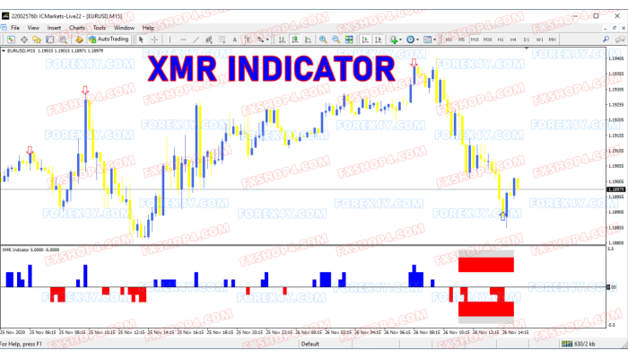 XMR INDICATOR