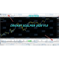 CRICKET SCALPER 2020 v1.0