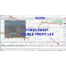 Altredo FOREX ROBOT DOUBLE PROFIT v3.0 
