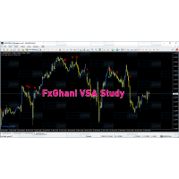 FXGHANI VSA STUDY