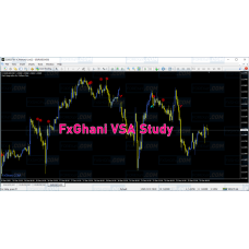FXGHANI VSA STUDY