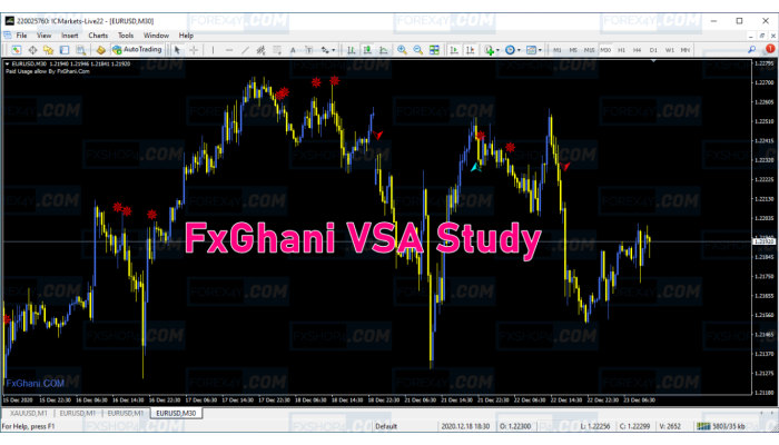 FXGHANI VSA STUDY