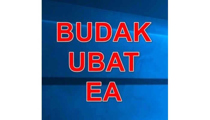 BUDAK UBAT EA v1.52