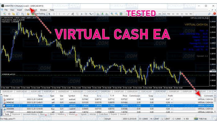VIRTUAL CASH EA V7.19 