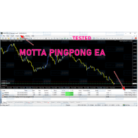 MOTTA PINGPONG EA V2 