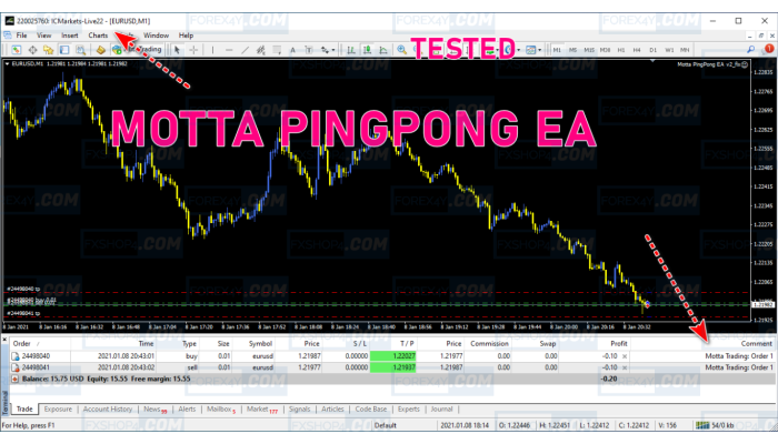 MOTTA PINGPONG EA V2 