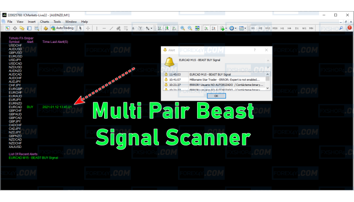MULTI PAIR BEAST SIGNAL SCANNER
